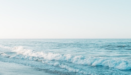 チェーン除草機の販売ページ