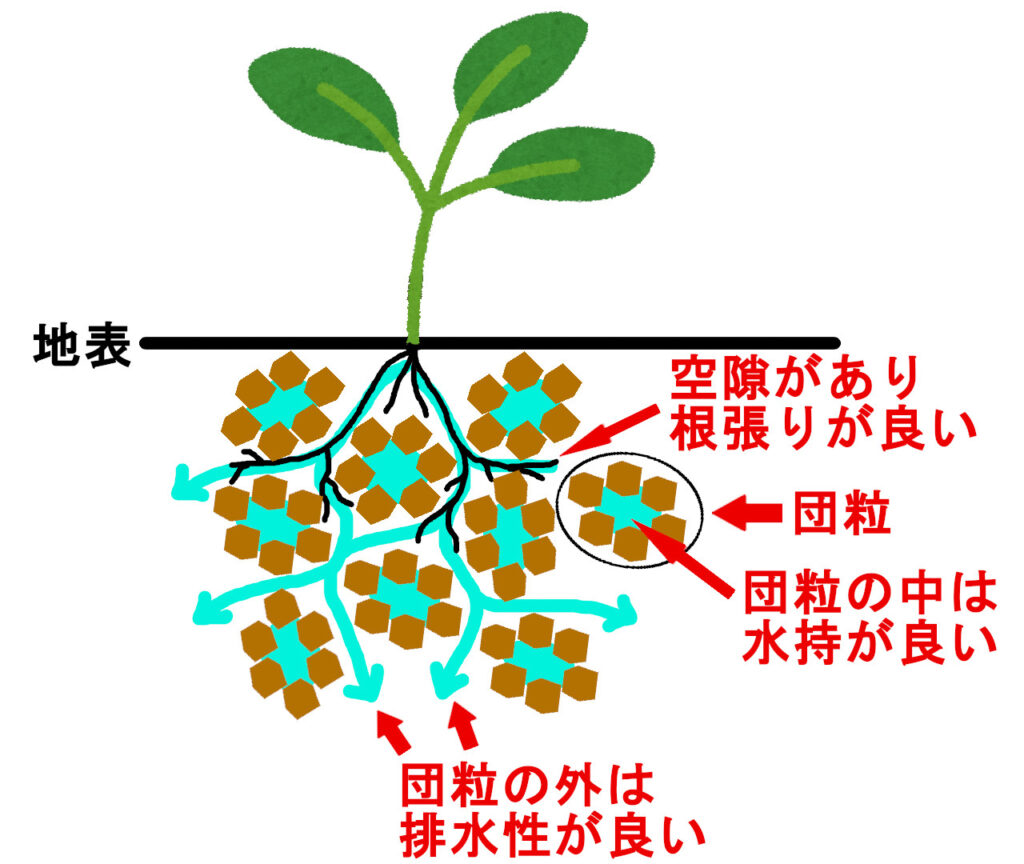 団粒構造を示したスケッチ