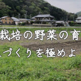 自然農法の野菜の育て方