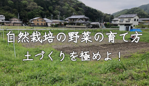 自然農法の野菜の育て方を解説！基本は土づくりから