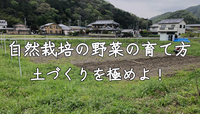 自然農法の野菜の育て方