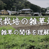 自然農法における雑草対策