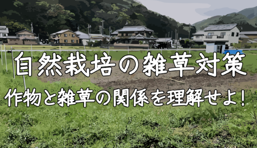 自然農法における雑草対策を解説！作物との競合を意識せよ